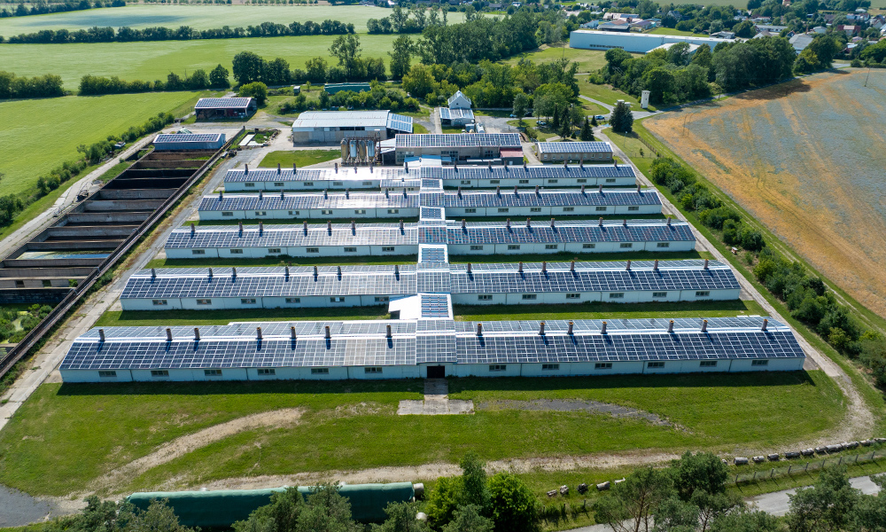 749.73 kWp In operation, Rooftop mounted, Germany (Brandenburg)