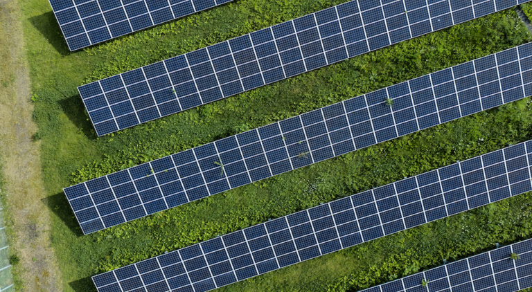 Luftaufnahme von Solarmodulen auf einer grünen Freifläche zum Thema: Solarpark-Rendite