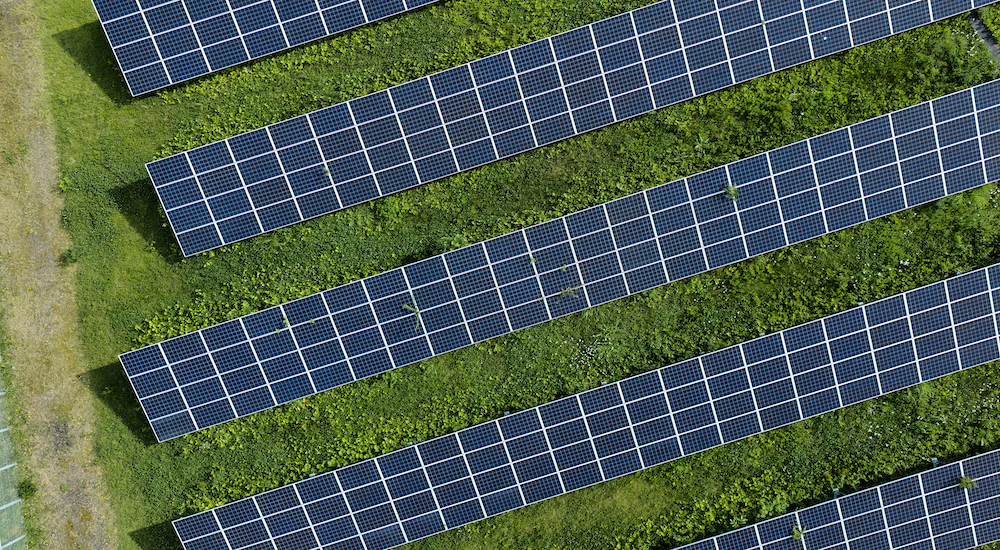Luftaufnahme von Solarmodulen auf einer grünen Freifläche zum Thema: Solarpark-Rendite